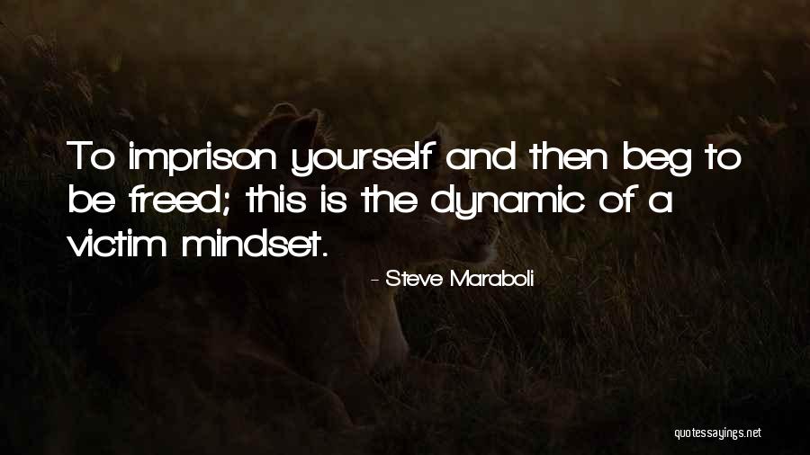 Proveeras Quotes By Steve Maraboli Proveeras Quotes By Steve Maraboli