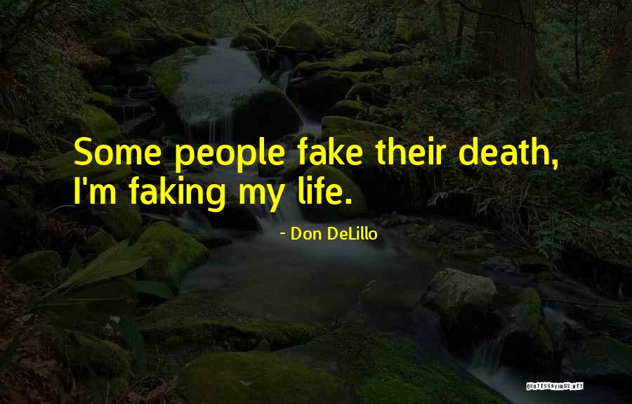Provengo Law Quotes By Don DeLillo Provengo Law Quotes By Don DeLillo
