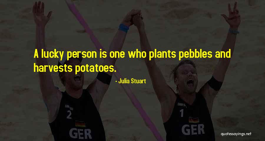 Proverbial Wisdom Quotes By Julia Stuart Proverbial Wisdom Quotes By Julia Stuart