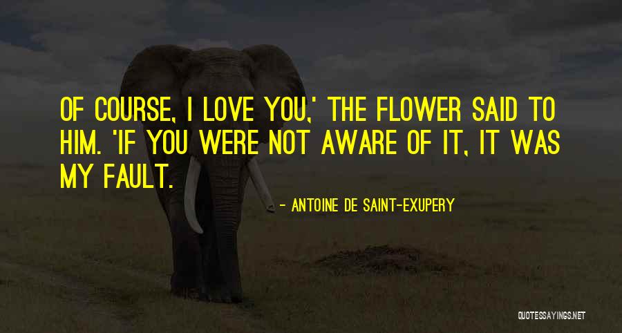 Proverbially Human Quotes By Antoine De Saint-Exupery Proverbially Human Quotes By Antoine De Saint-Exupery