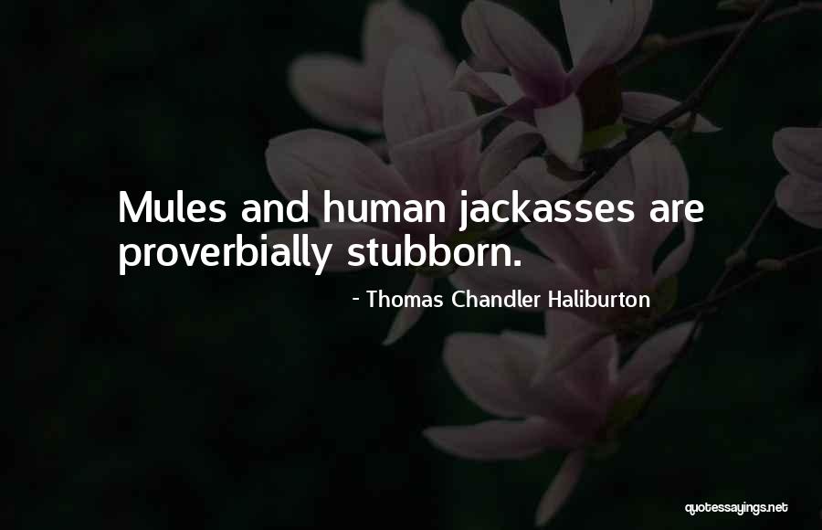 Proverbially Human Quotes By Thomas Chandler Haliburton Proverbially Human Quotes By Thomas Chandler Haliburton