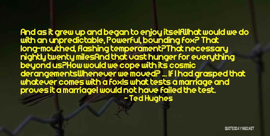 Proves Quotes By Ted Hughes