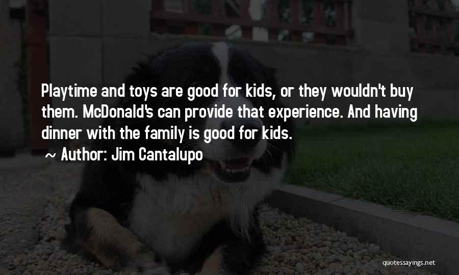 Provide For Your Family Quotes By Jim Cantalupo