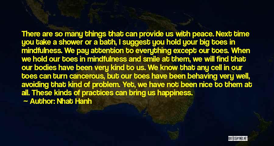 Provide Happiness Quotes By Nhat Hanh