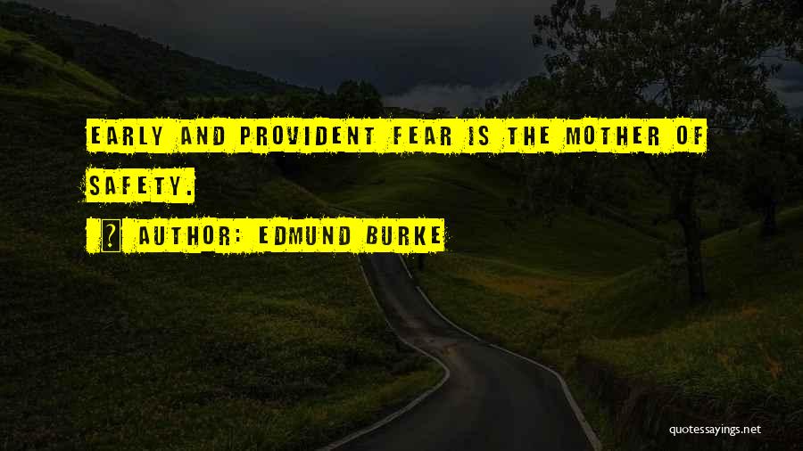 Provident Quotes By Edmund Burke