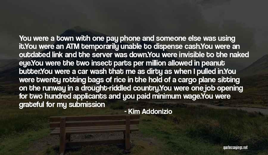 Provider Quotes By Kim Addonizio