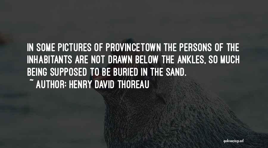 Provincetown Quotes By Henry David Thoreau