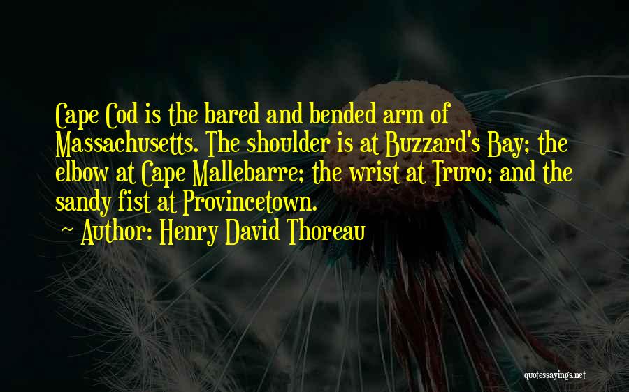 Provincetown Quotes By Henry David Thoreau