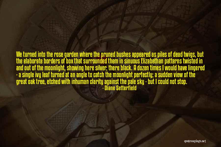 Provine High School Quotes By Diane Setterfield Provine High School Quotes By Diane Setterfield