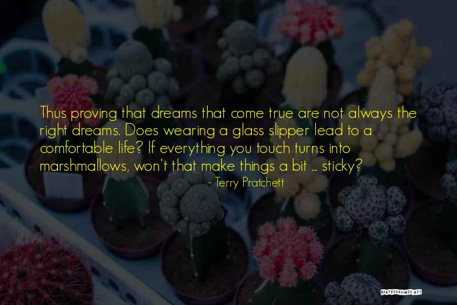 Proving Yourself Right Quotes By Terry Pratchett