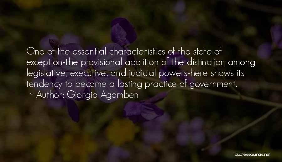 Provisional Government Quotes By Giorgio Agamben