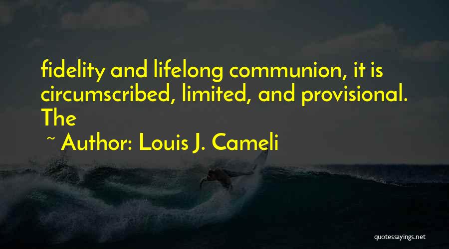 Provisional Quotes By Louis J. Cameli