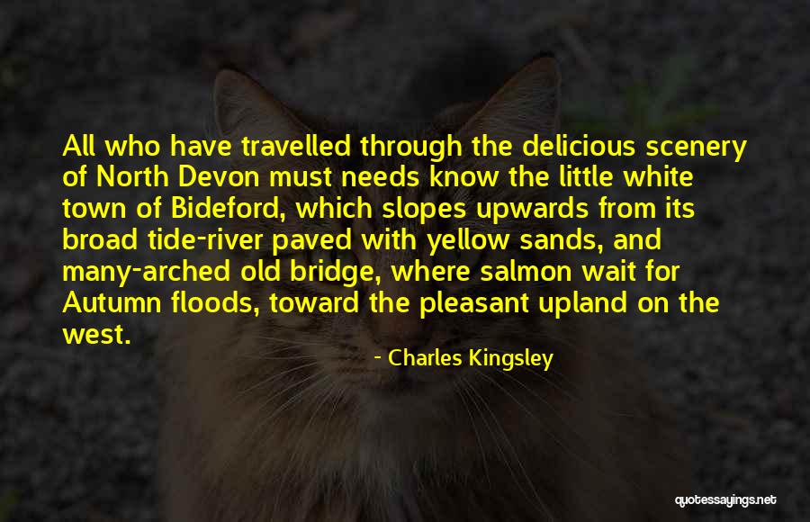 Provisos Rectum Quotes By Charles Kingsley Provisos Rectum Quotes By Charles Kingsley
