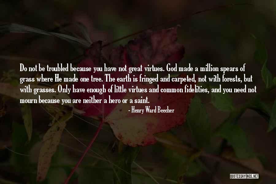 Provisos Rectum Quotes By Henry Ward Beecher Provisos Rectum Quotes By Henry Ward Beecher