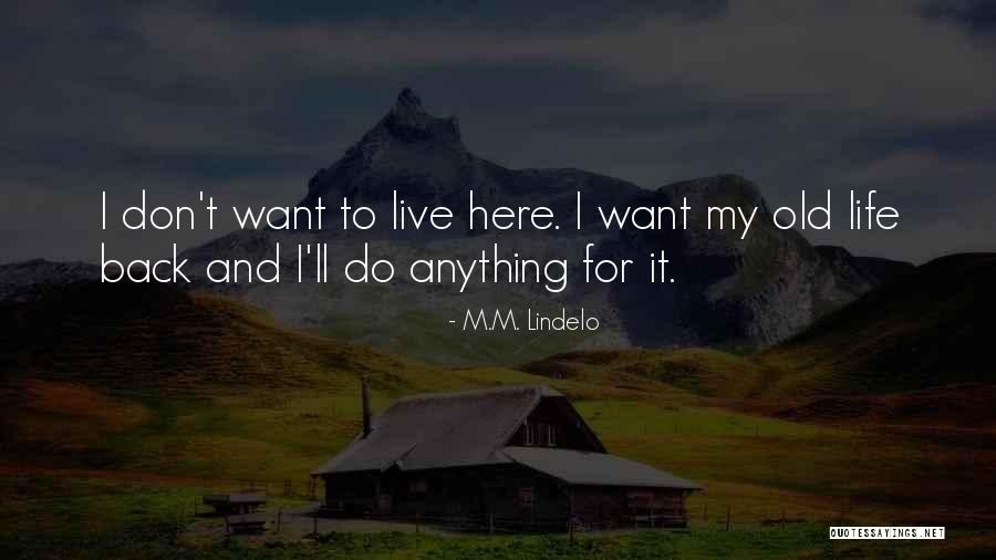 Provitalize Quotes By M.M. Lindelo Provitalize Quotes By M.M. Lindelo