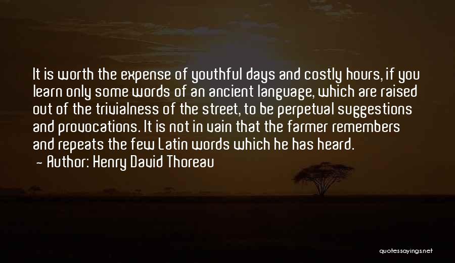 Provocations Quotes By Henry David Thoreau