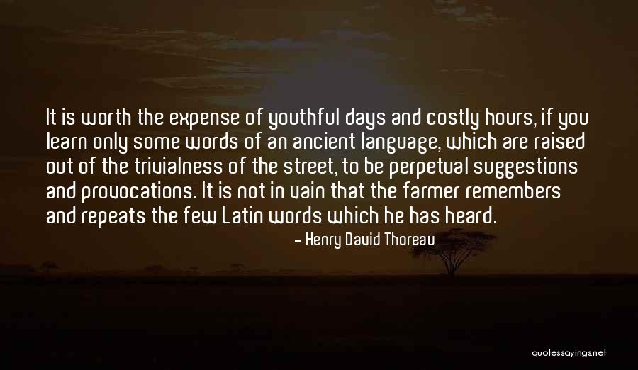 Provocations Quotes By Henry David Thoreau Provocations Quotes By Henry David Thoreau