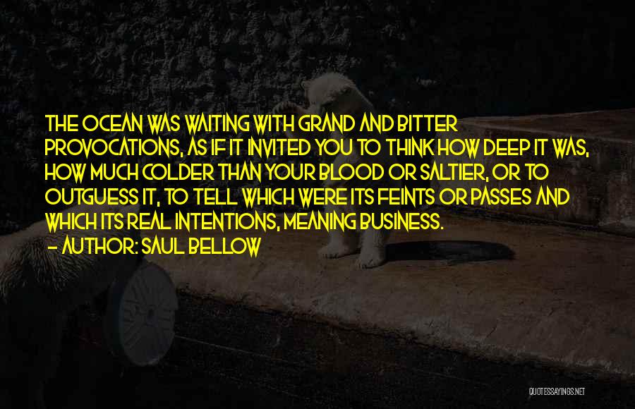 Provocations Quotes By Saul Bellow