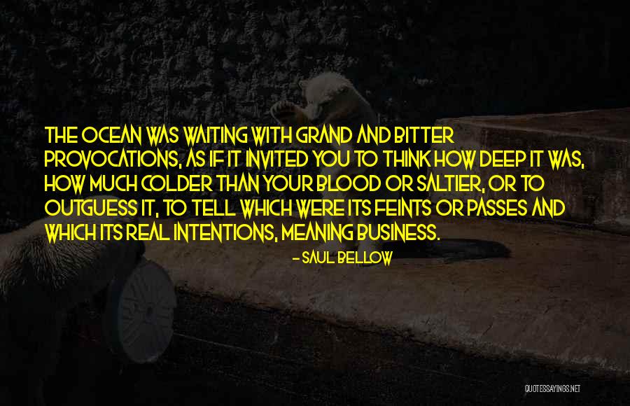 Provocations Quotes By Saul Bellow