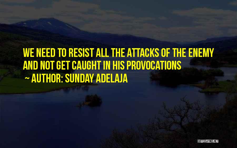 Provocations Quotes By Sunday Adelaja