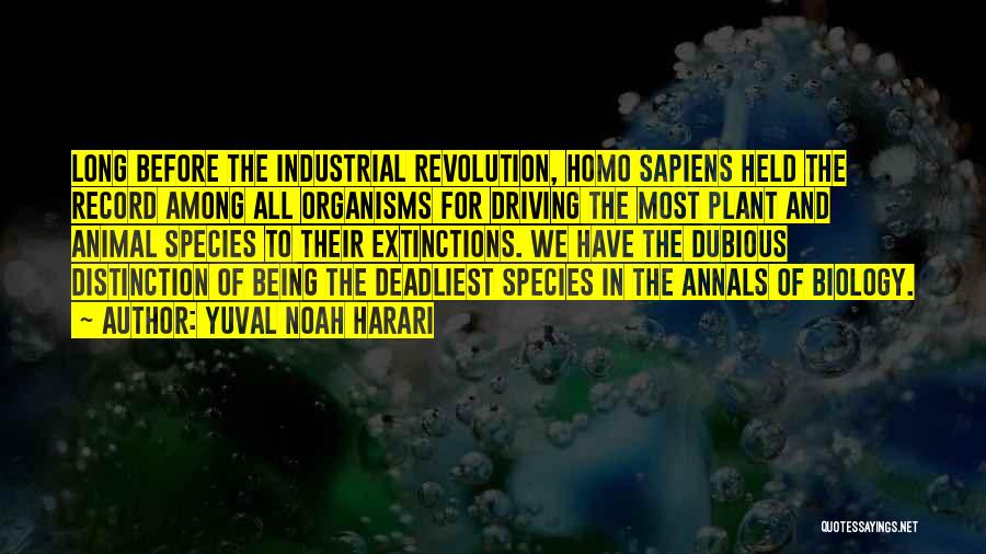 Provocative Art Quotes By Yuval Noah Harari