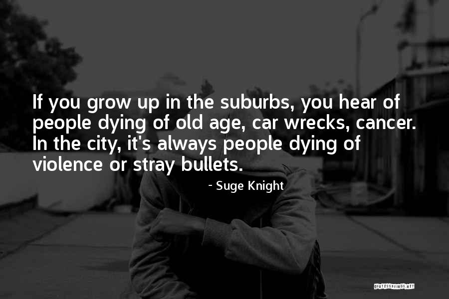 Provoices Quotes By Suge Knight Provoices Quotes By Suge Knight