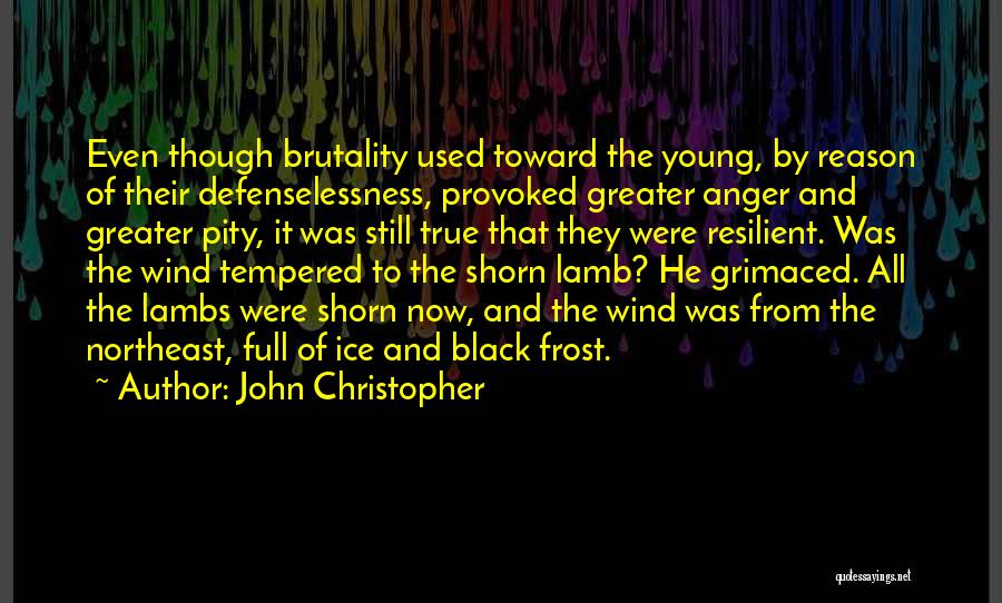 Provoked Anger Quotes By John Christopher