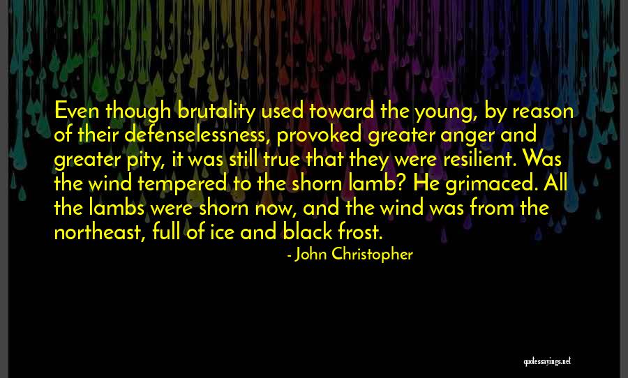 Provoked Anger Quotes By John Christopher