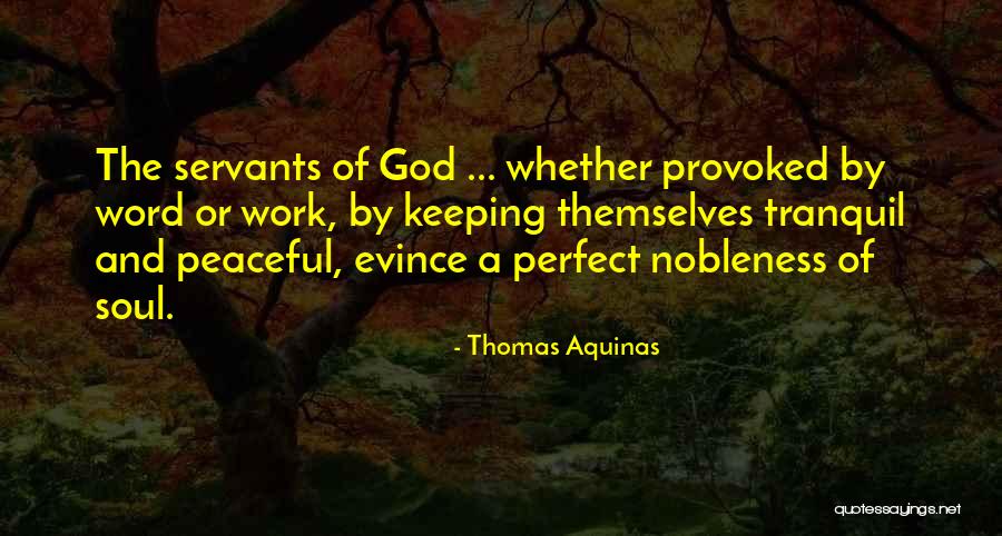 Provoked Quotes By Thomas Aquinas Provoked Quotes By Thomas Aquinas