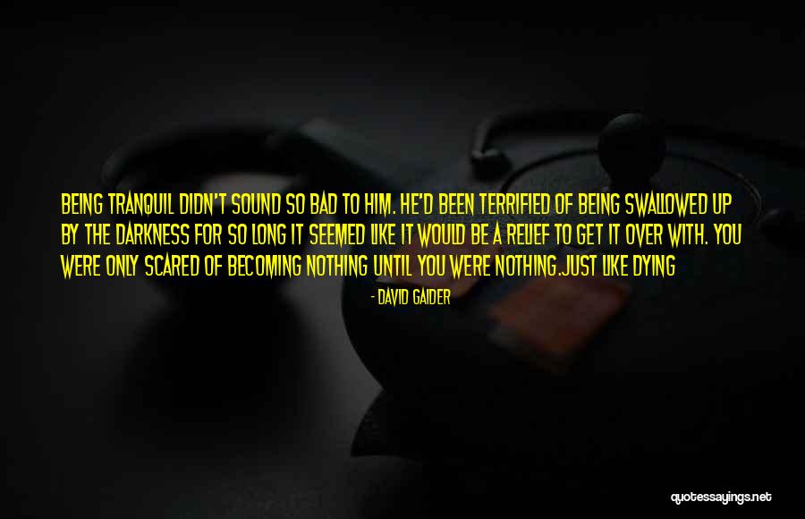 Provokes Rhymes Quotes By David Gaider Provokes Rhymes Quotes By David Gaider