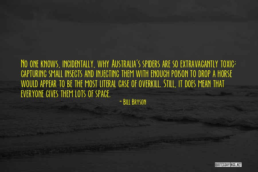 Provvedimento Significato Quotes By Bill Bryson Provvedimento Significato Quotes By Bill Bryson