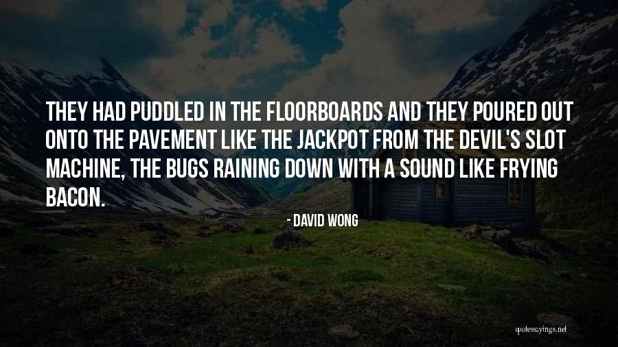 Proyecto X Quotes By David Wong