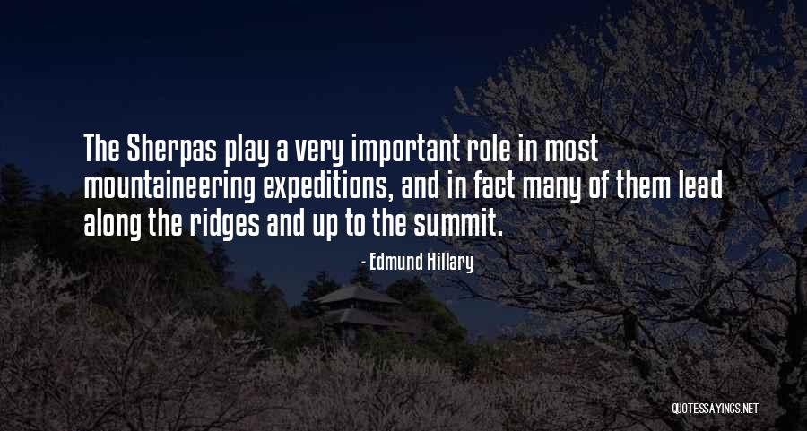 Prozent Ausrechnen Quotes By Edmund Hillary Prozent Ausrechnen Quotes By Edmund Hillary