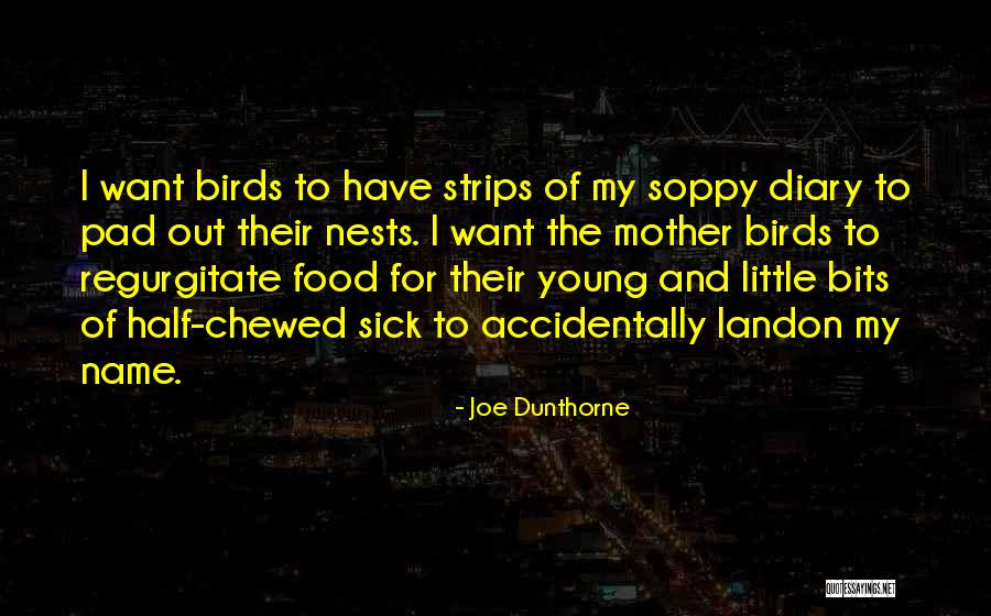 Prtu Ap Quotes By Joe Dunthorne Prtu Ap Quotes By Joe Dunthorne