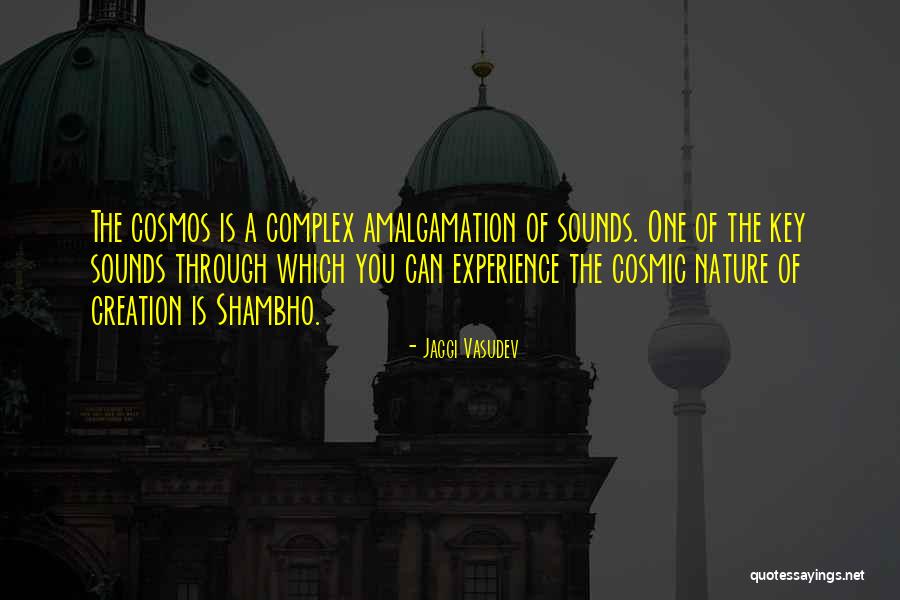 Prudently At Home Quotes By Jaggi Vasudev Prudently At Home Quotes By Jaggi Vasudev