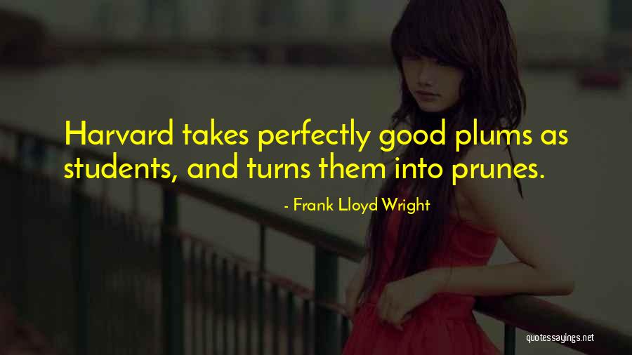 Prunes Vs Plums Quotes By Frank Lloyd Wright Prunes Vs Plums Quotes By Frank Lloyd Wright