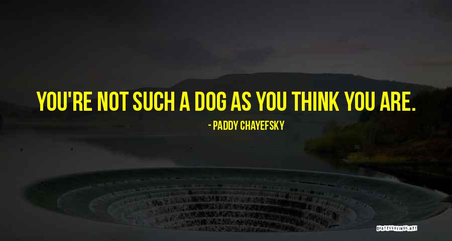 Prydain Pronunciation Quotes By Paddy Chayefsky Prydain Pronunciation Quotes By Paddy Chayefsky