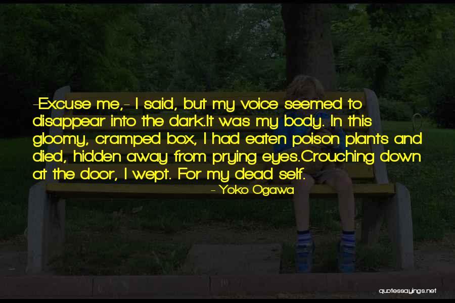 Prying Eyes Quotes By Yoko Ogawa Prying Eyes Quotes By Yoko Ogawa