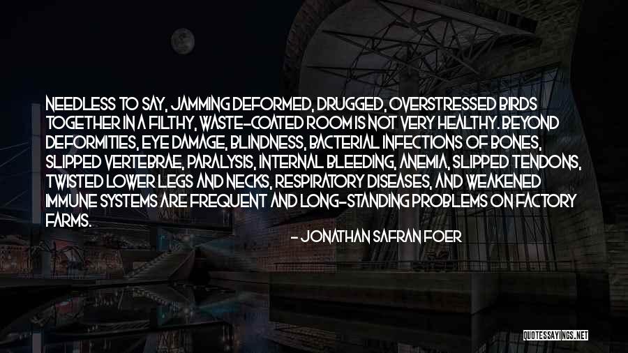 Prysm Poultry System Simulation Model Quotes By Jonathan Safran Foer Prysm Poultry System Simulation Model Quotes By Jonathan Safran Foer