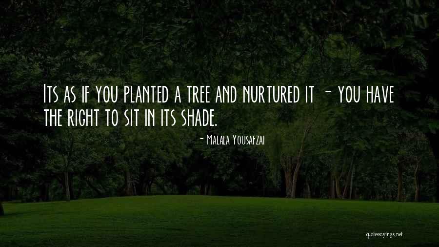 Przechodzki Quotes By Malala Yousafzai Przechodzki Quotes By Malala Yousafzai