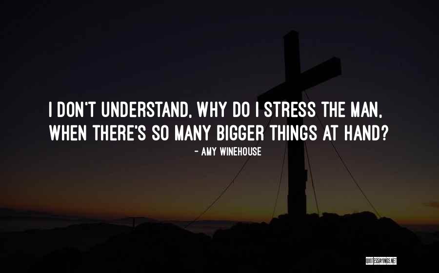 Przeworski Model Quotes By Amy Winehouse Przeworski Model Quotes By Amy Winehouse