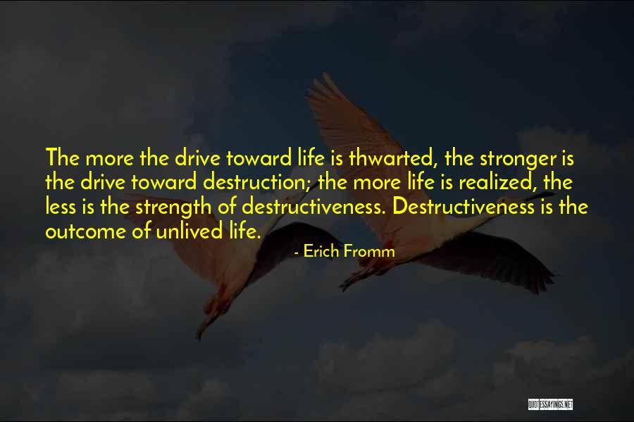 Przygoda Psa Quotes By Erich Fromm Przygoda Psa Quotes By Erich Fromm