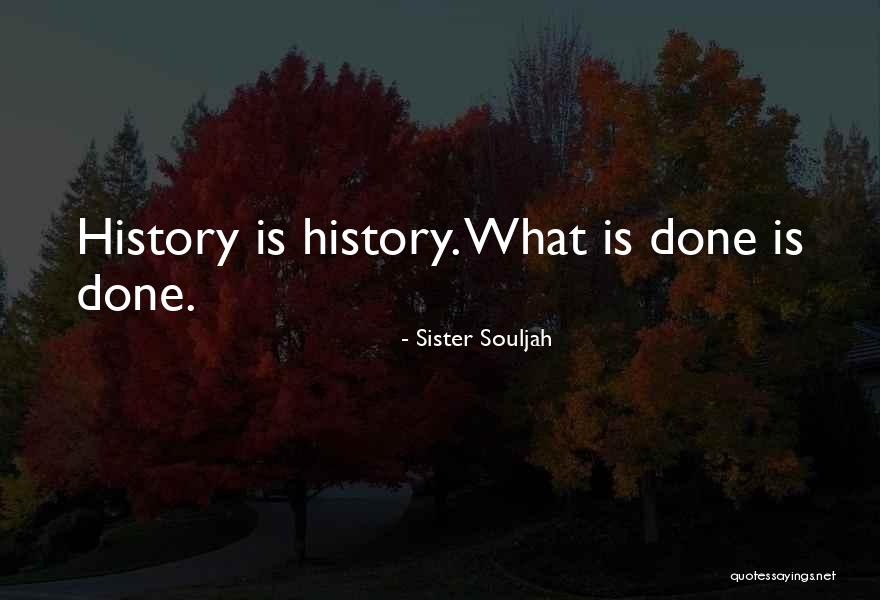 Przysiad Bulgarski Quotes By Sister Souljah Przysiad Bulgarski Quotes By Sister Souljah