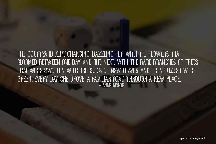 Przytulanki Quotes By Anne Bishop Przytulanki Quotes By Anne Bishop
