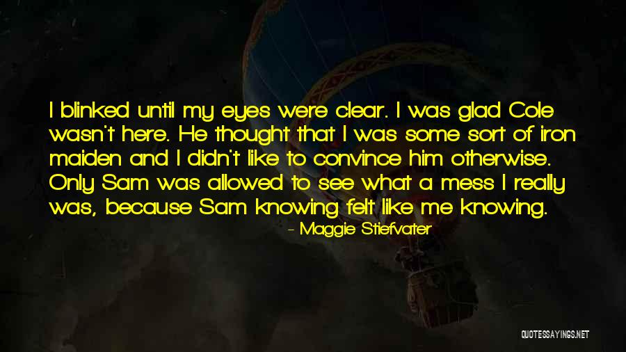 Przyw Dztwo Transakcyjne Quotes By Maggie Stiefvater Przyw Dztwo Transakcyjne Quotes By Maggie Stiefvater