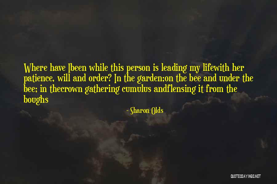 Psa232 Quotes By Sharon Olds Psa232 Quotes By Sharon Olds
