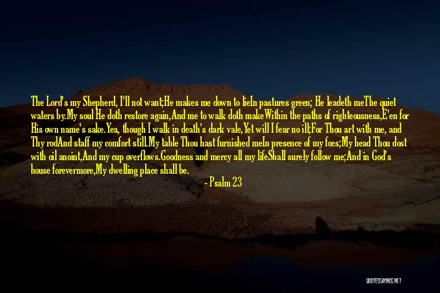 Psalm 23 Quotes 1040396