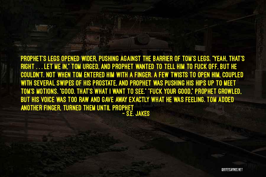Psaras Paintings Quotes By S.E. Jakes Psaras Paintings Quotes By S.E. Jakes