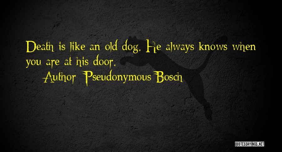 Pseudonymous Bosch Quotes 218535