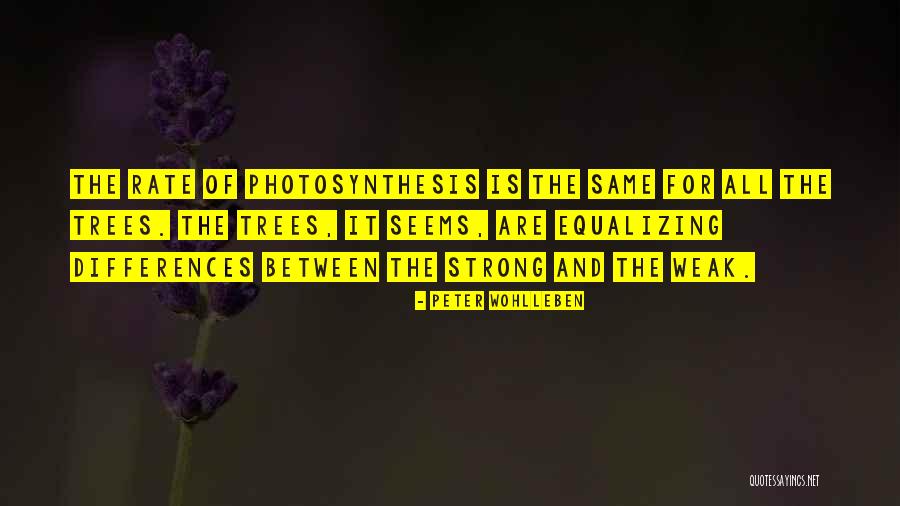 Pseudopodia Structure Quotes By Peter Wohlleben Pseudopodia Structure Quotes By Peter Wohlleben